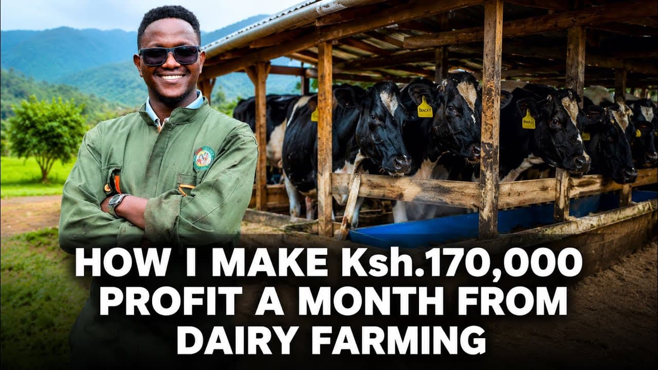 After Failing to Get a Job,This 32 yr old Man Turned to Dairy Farming &Now Makes 170K Profit a Month