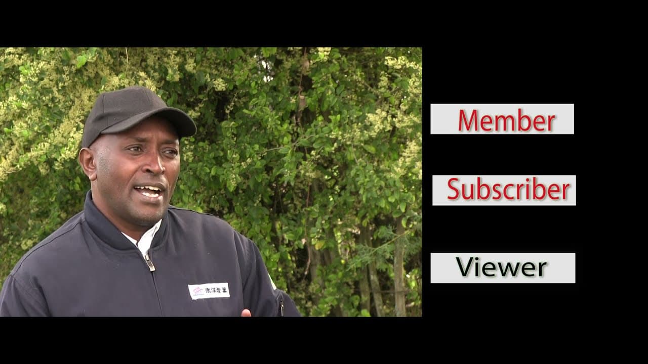 Important ANNOUNCEMENT!                          DTV Kenya MEMBERSHIP.