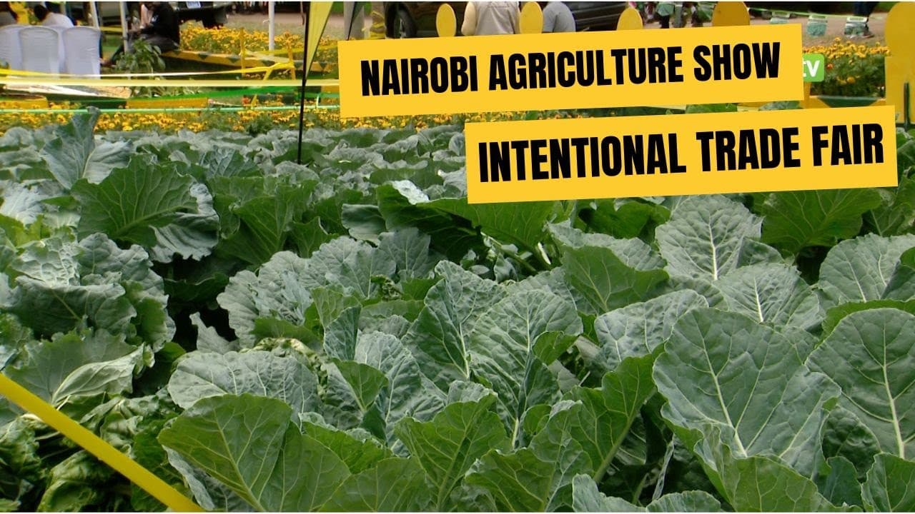 Talking Agriculture at The Nairobi International Trade fair - ASK show