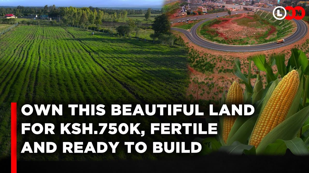 Own This Beautiful Property for Ksh.750K And Put Up Your Dream Home | LNN