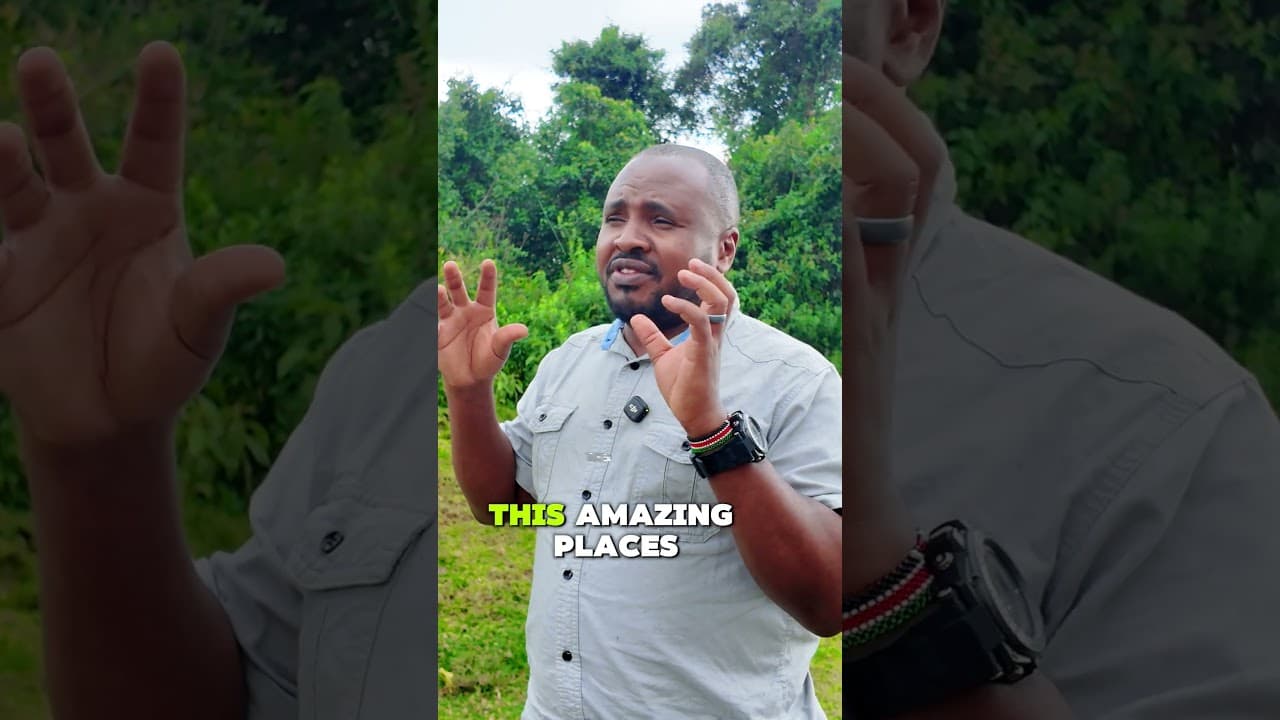 Did I Drive Through Paradise? Kenya’s Little-Known Nakuru–Eldoret Road