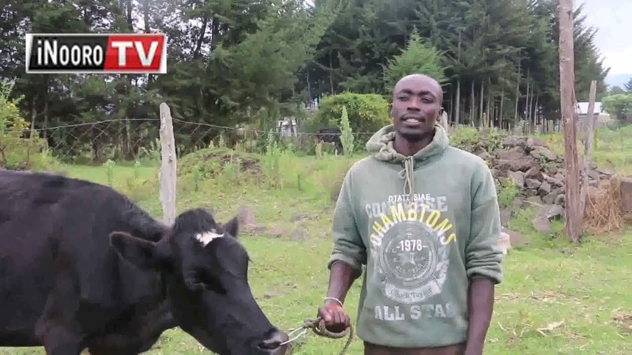 KŨHŨRANA NA MATHĨNA MA MECIRI