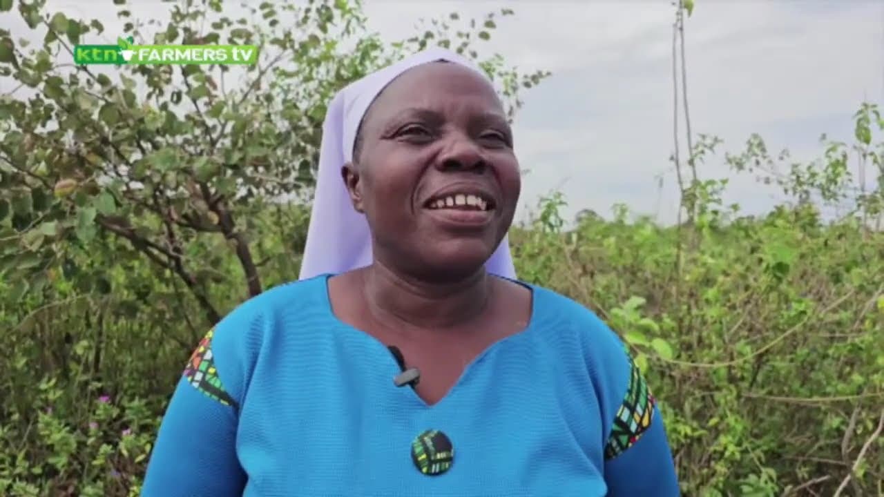 KTN Farmers TV Live stream