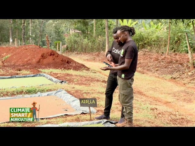 A digital platform for farming information - Nalima Ayute Africa challenge