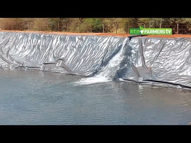 KALRO launch cold room, drying facility and water dam to improve research