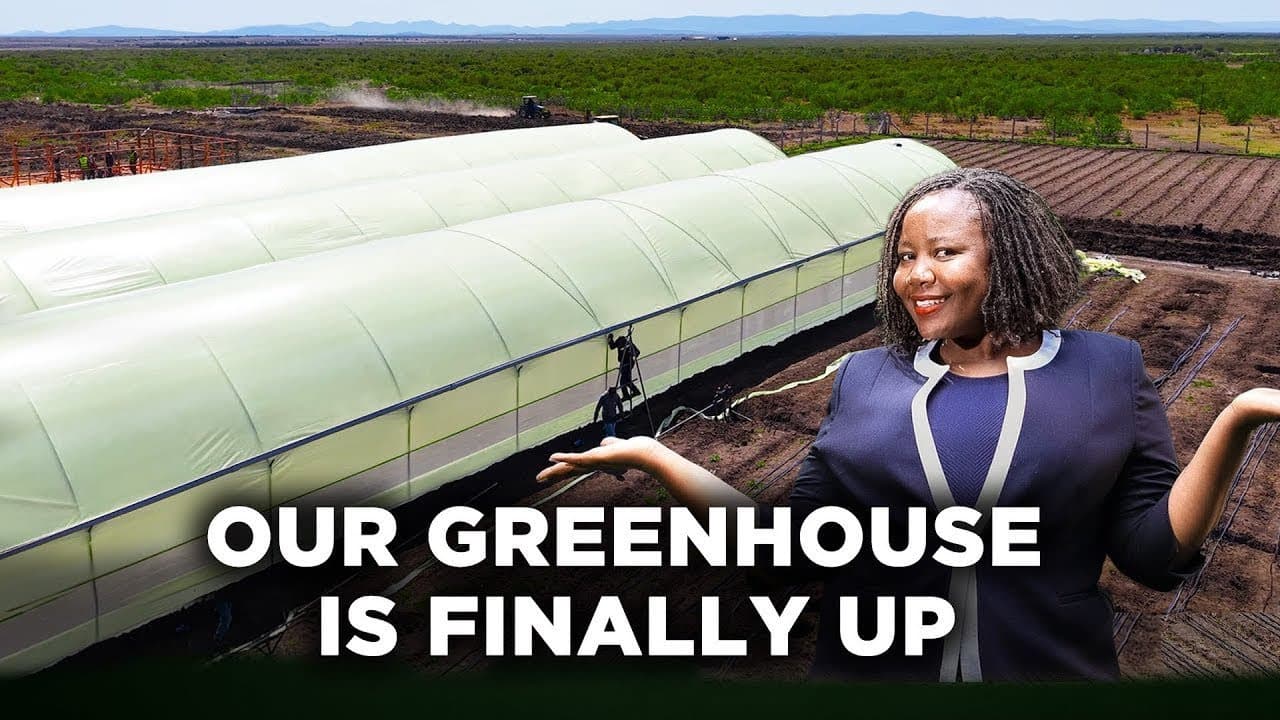 Our First Greenhouse At Our Farm | How Much it Cost & How We Did It From Planning to Installation