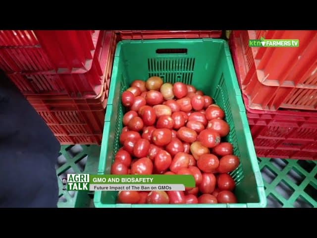 Why the rush? Lifting ban on GMO conversation - AgriTalk