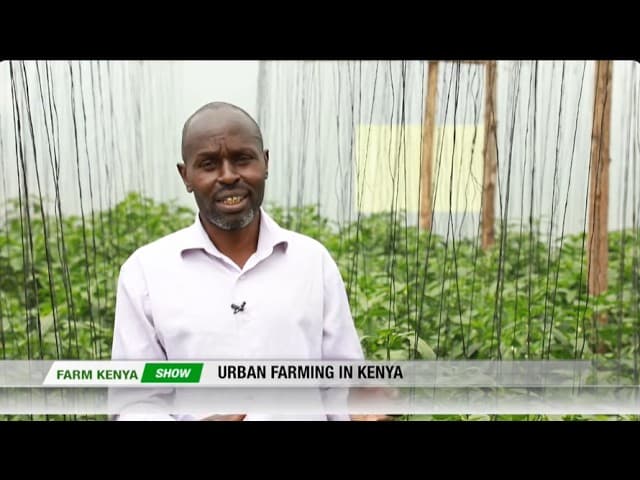 How Michael Ratemo Turned a Small Kibera Space Into an Urban Farm