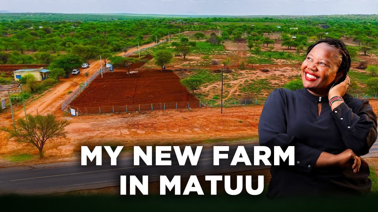 My New Farm in Matuu And Why I Started With Ndengu | Golden Dreams Land & Properties Ltd