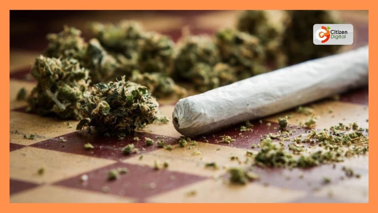 Polisi wavamia shamba la bangi la ekari 3 Mwingi