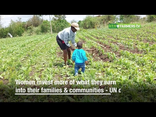 Break the bias  How gender inequality is undermining rural development