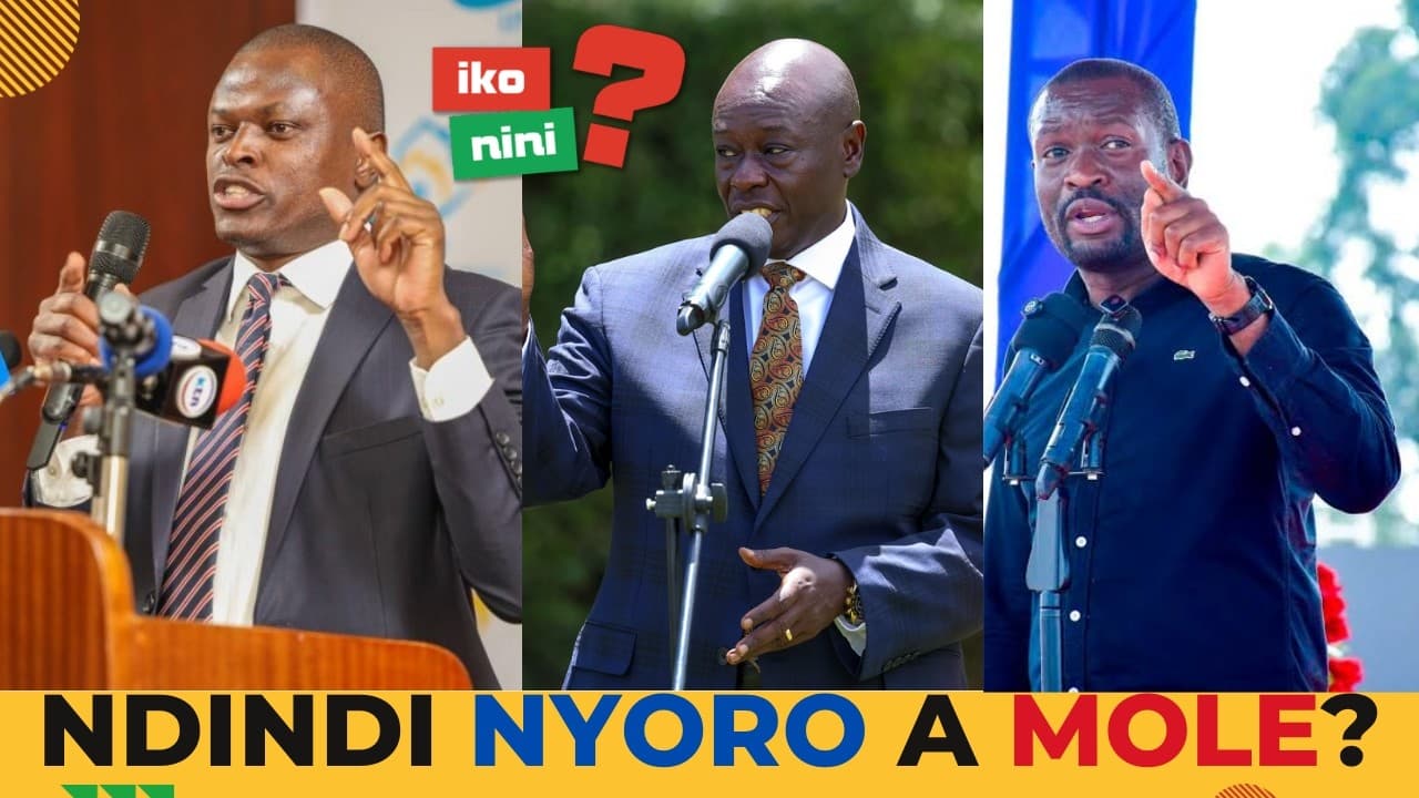 "Gachagua Is Better at Opposition" Brian Oduor Challenges the Opposition & Demands a Real Agenda
