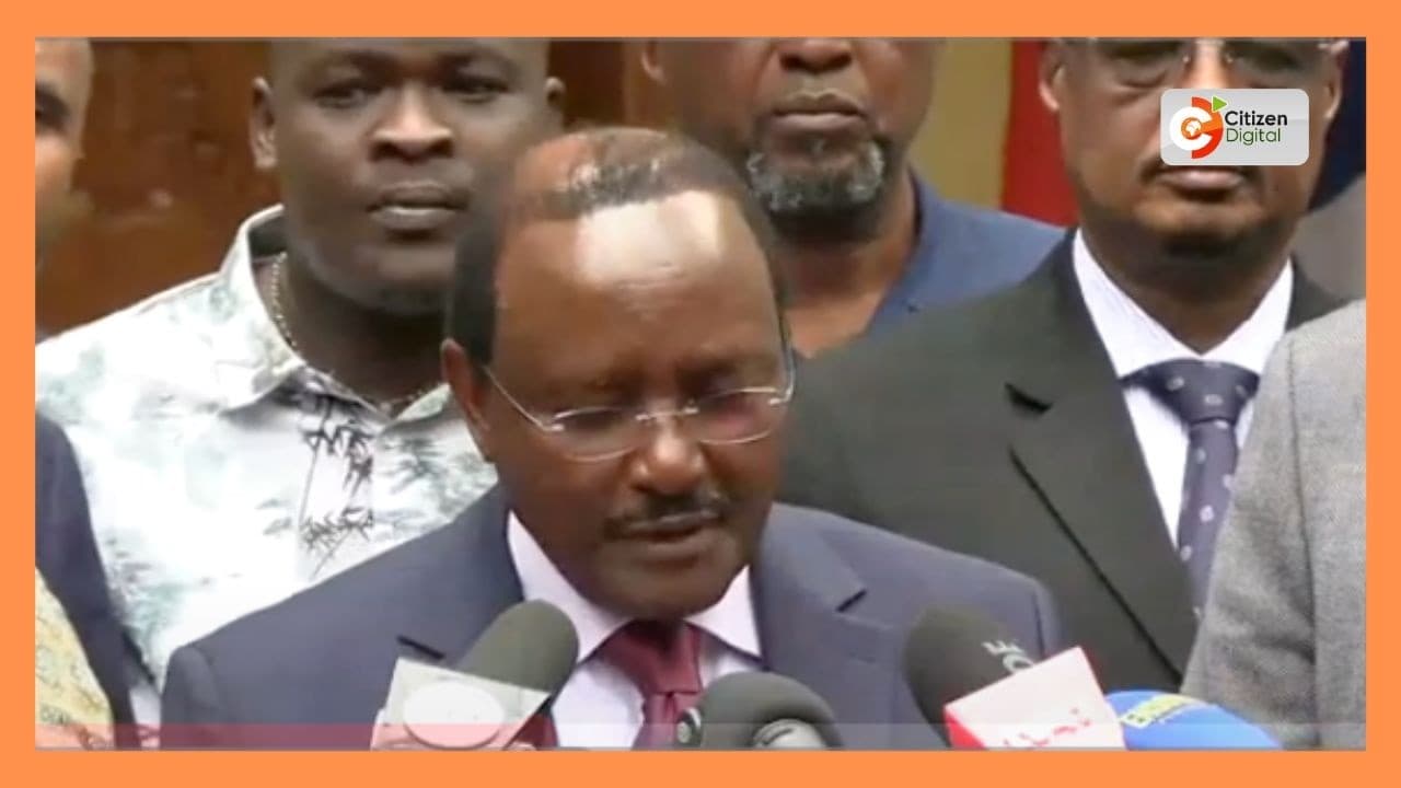 United Opposition welcomes court ruling on Safaricom stake sale