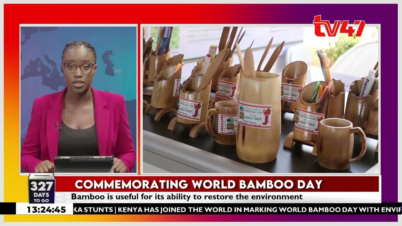 World bamboo day: Kenya pushes bamboo farming for jobs, livelihoods and climate action