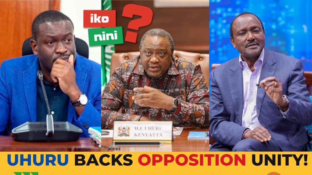 RUTO UNDER SIEGE? Uhuru, Kalonzo & Sifuna Team Up as US Investors Raise Alarm in Nairobi!