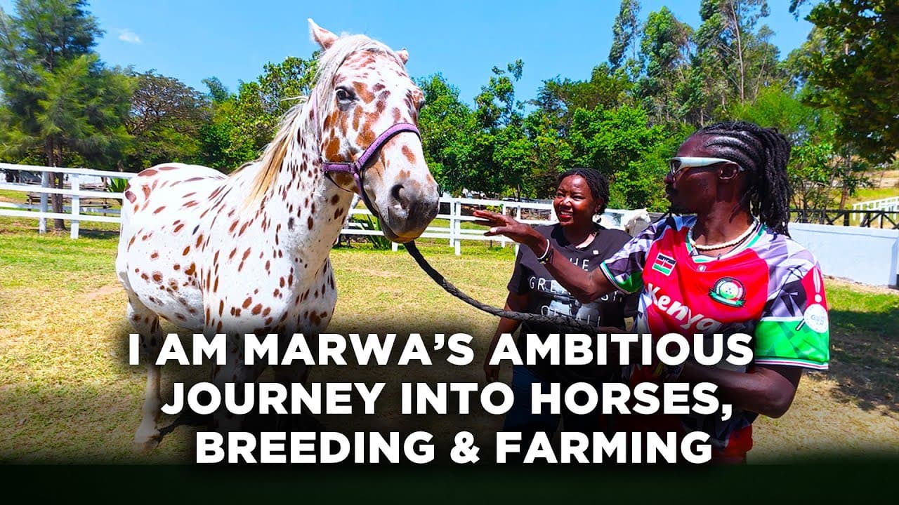 I AM MARWA Takes Us Inside His Animal Kingdom & the Untapped Horse Business Worth Millions | LNN
