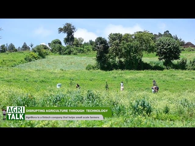 Disrupting agriculture through technology - AgriTalk