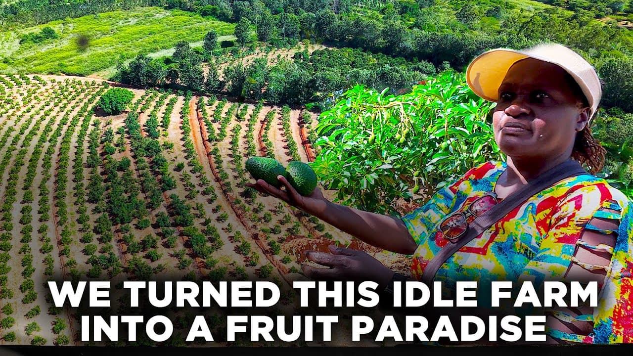 This Family Left Nairobi and Turned Their Idle Farm in Makueni into a Fruit Paradise | Slow Living