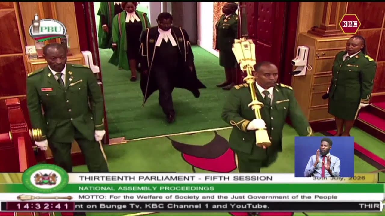 Jumba la Sheria | Maana ya kifaa maalum kwa jina 'Mace'