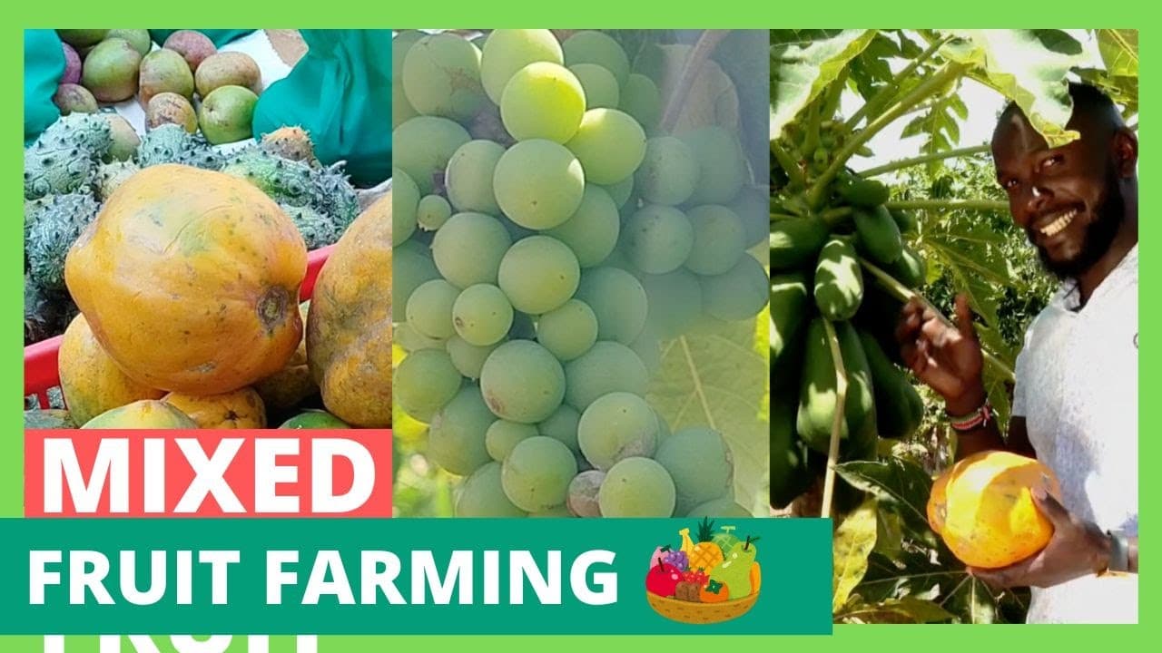 How to be in season every time with fruit farming - farmGuide