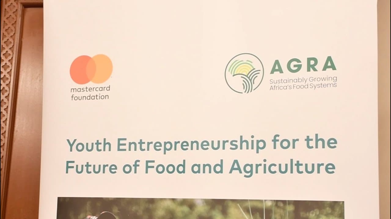 Opportunities for Youth in Climate Change