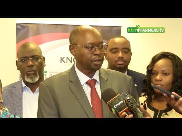 Closing the gap between exports and imports in Kenya   KNCCI