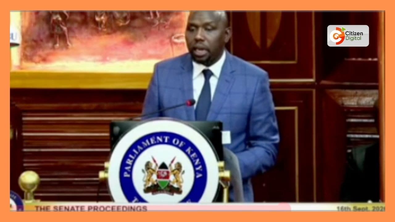 United Opposition welcomes court ruling on Safaricom stake sale