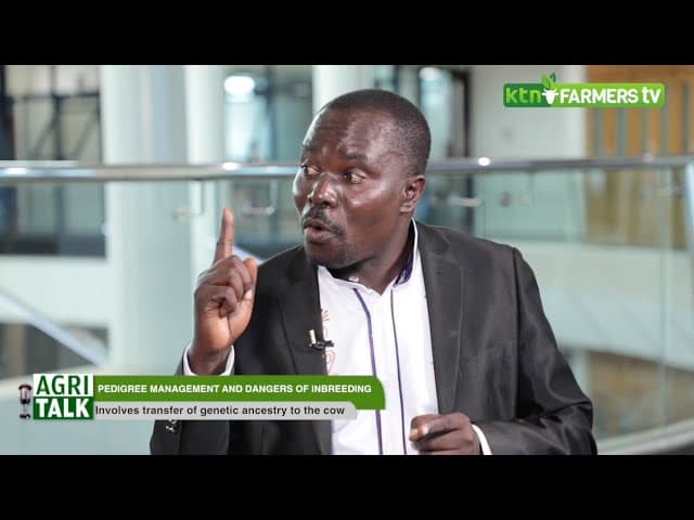Dangers of inbreeding and pedigree management - Agritalk part 2