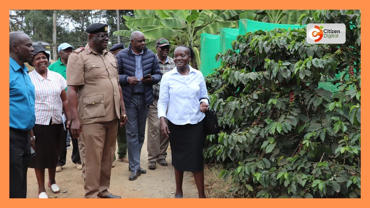 Nairobi International Trade Fair organisers say Jamhuri ASK grounds 99ready to host the show