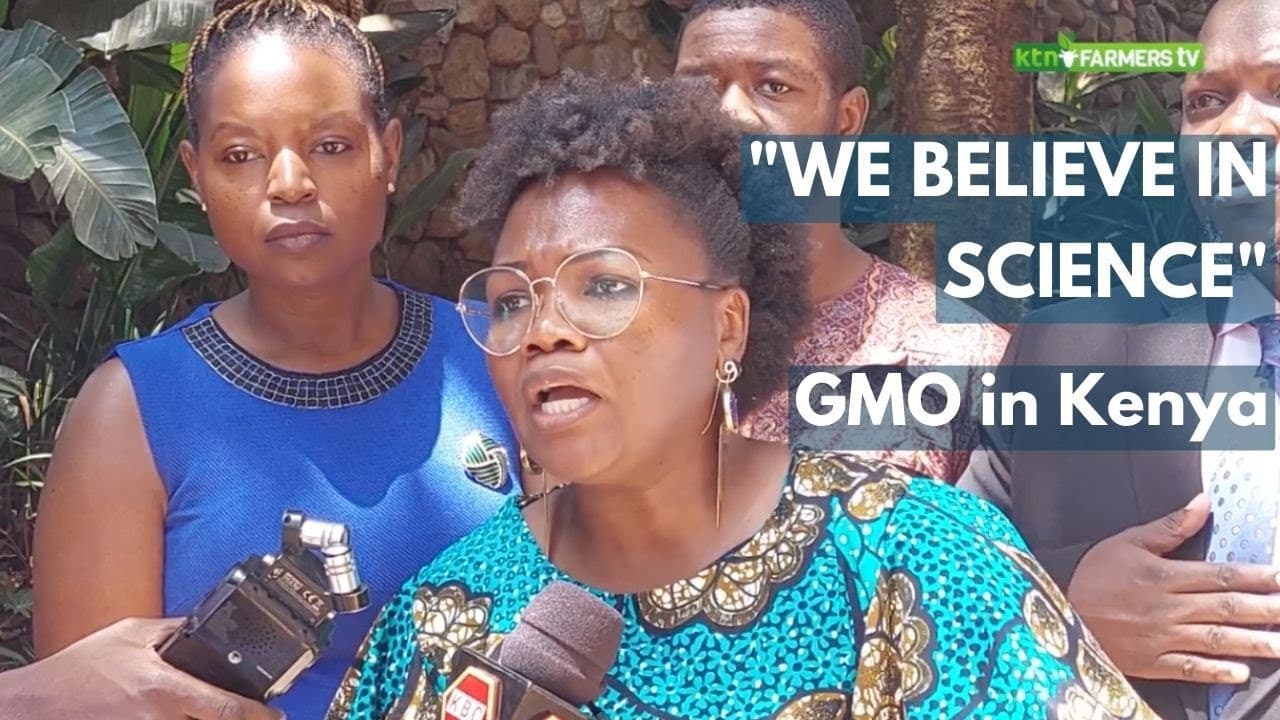 Doctors on the health concerns of GMO in Kenya “we believe in science”