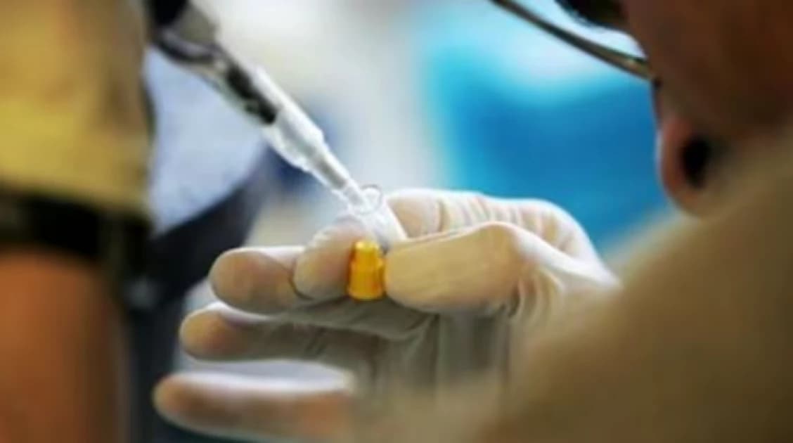 One in eight cancers are likely caused by an infection – Study