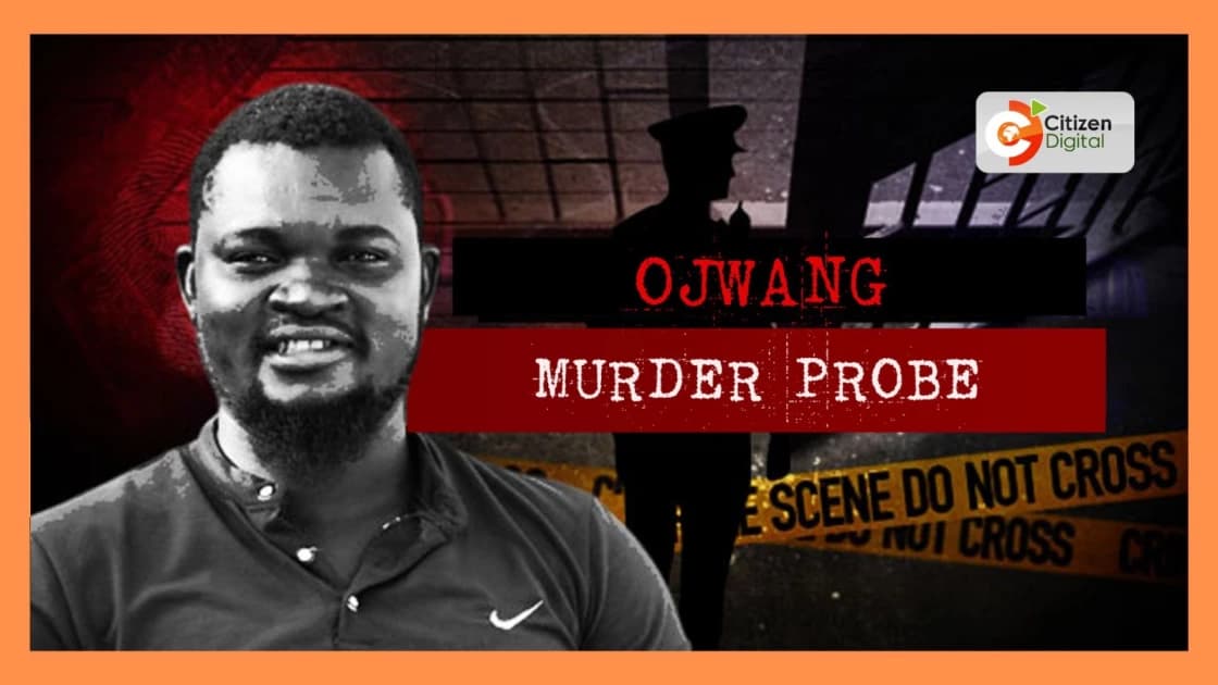 Key witness in Albert Ojwang' murder case dies before giving testimony