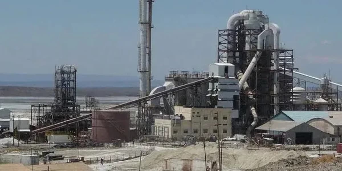Tata Chemicals warns of 500 job losses as legal battle over Magadi mine shutdown intensifies