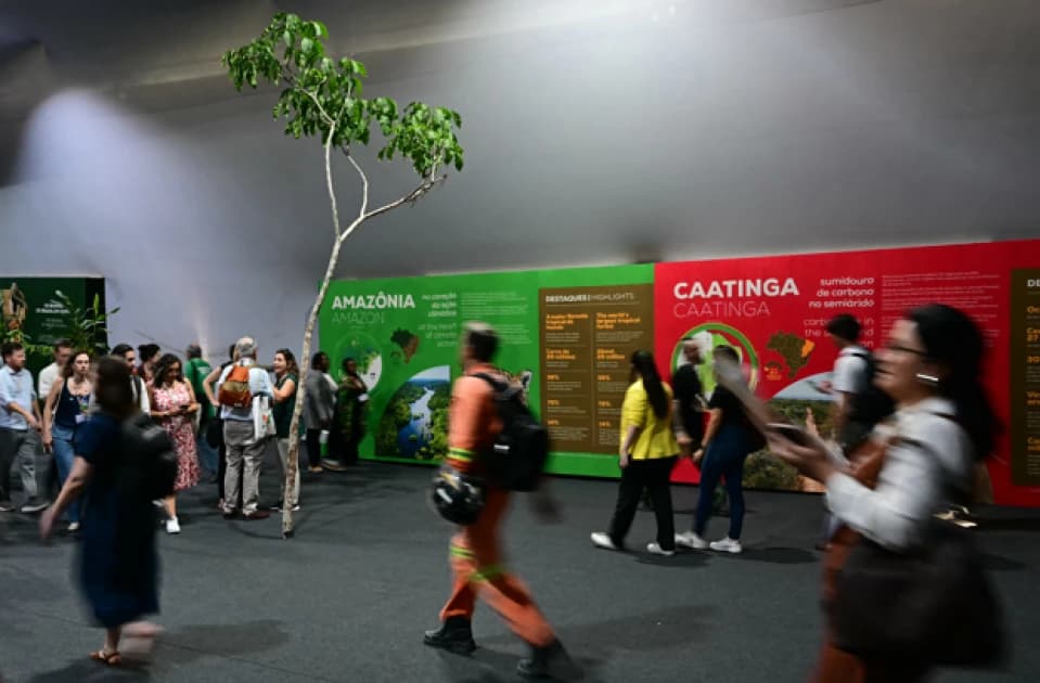 Why climate action must move beyond conference rooms