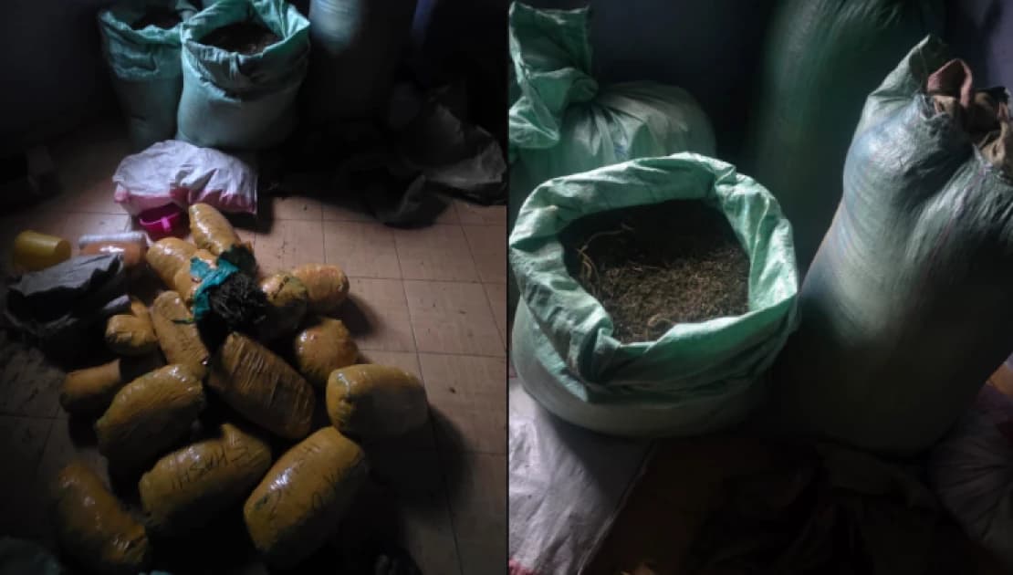 Two Ugandan teenagers, suspected dealer arrested in Ksh.5M Ruai bhang bust