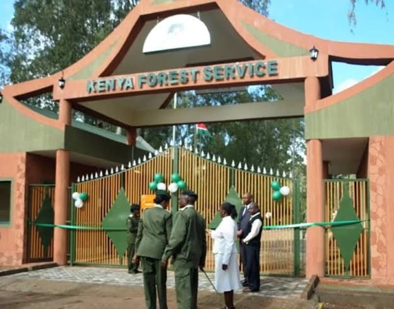 KFS warns over fake forest ranger recruitment letters
