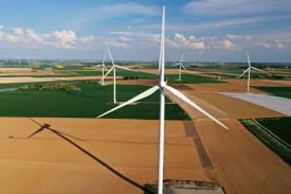 OPINION: Biomass and solar energy reducing carbon emissions for a greener planet