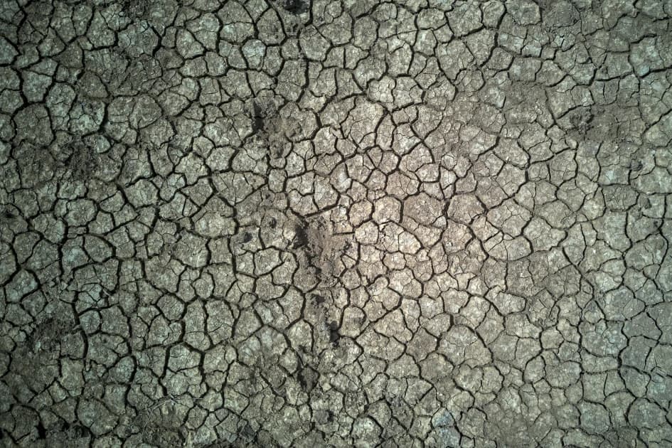El Nino will intensify, then peak in December: UN