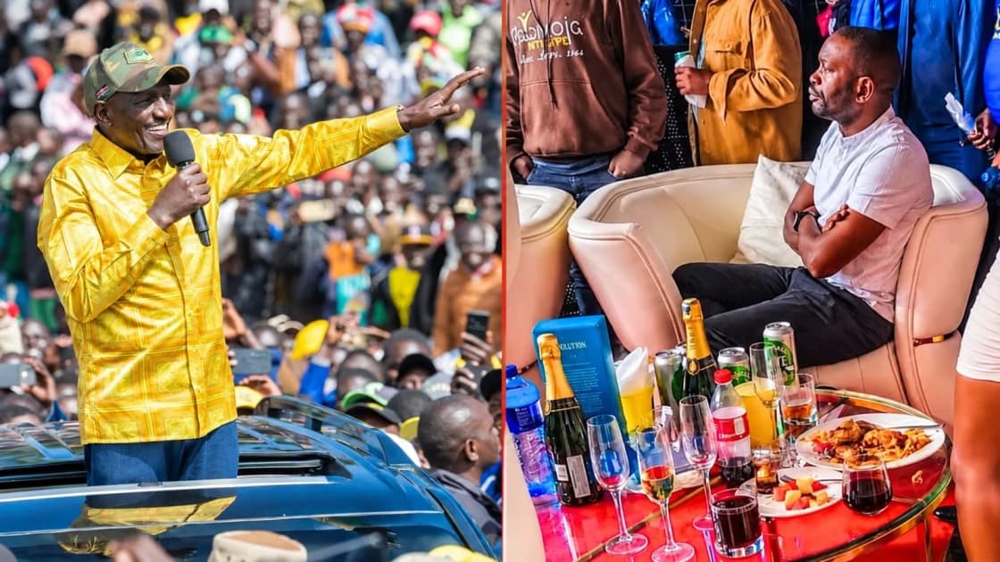 Sherehe haitaki hasira: Kenyans defend Sifuna after Ruto's attack over alcohol