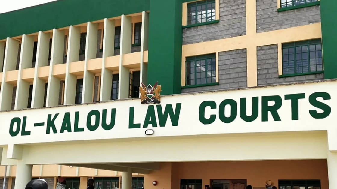 Court temporarily stops logging activities in Aberdare forest
