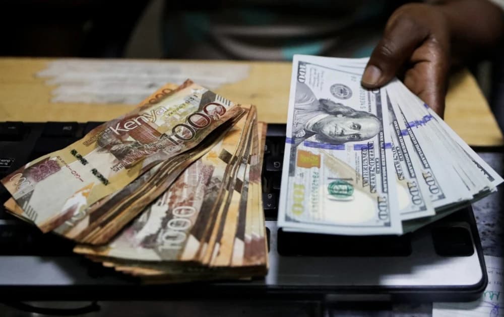 OPINION: The diaspora sends the money. Now Kenya wants the trust