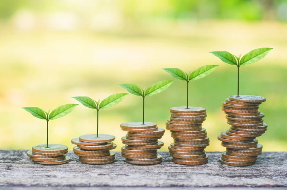 OPINION: Diaz - The climate finance revolution, pricing natural capital for global prosperity