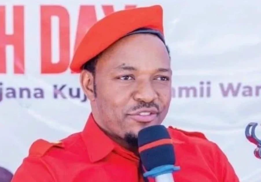 Court orders State to produce Tanzanian activist Twaha Mwaipaya 'dead or alive'
