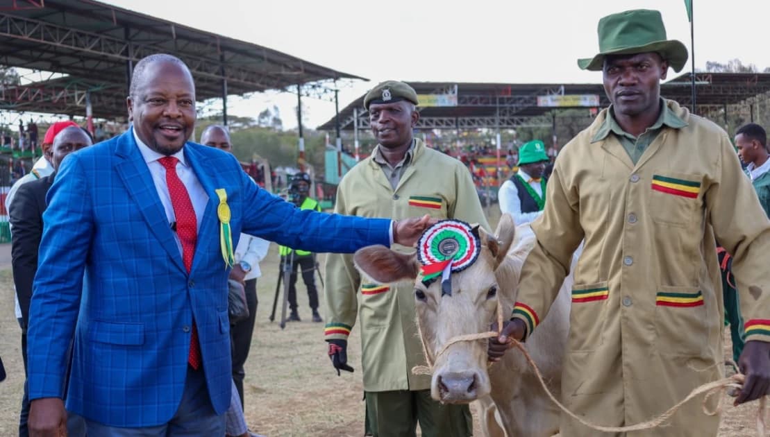Every cow, sheep and goat to get traceable tag under new gov't plan