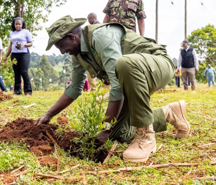 Mazingira Day: Gov't seeks to mobilise 200,000 Kenyans to plant 6 million trees in one hour