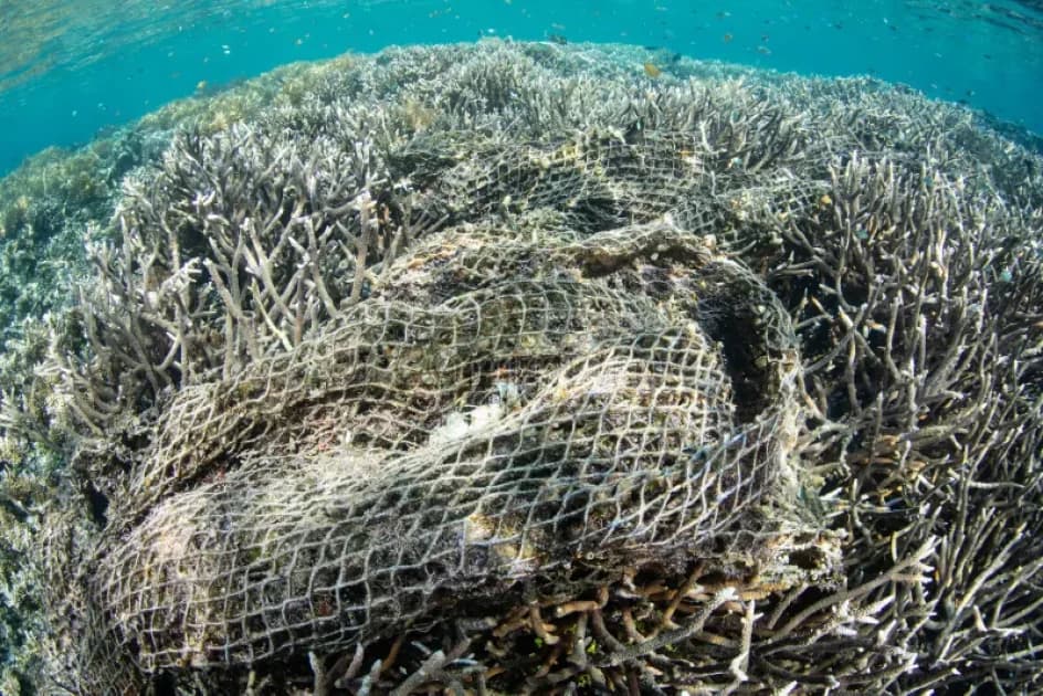 10 tonnes of illegal fishing nets destoryed in Lake Victoria crackdown