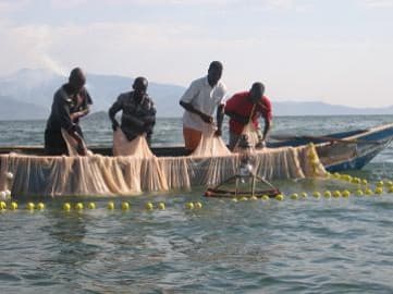 Siaya: Kogoye fishermen reap over one tonne after voluntary breeding ban