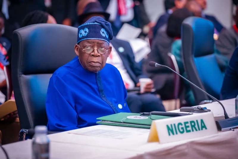 Nigeria: Tinubu launches reelection bid amid economic woes