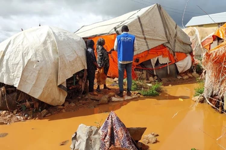 Floods could displace 874,000 people in Somalia over next three months, IOM warns