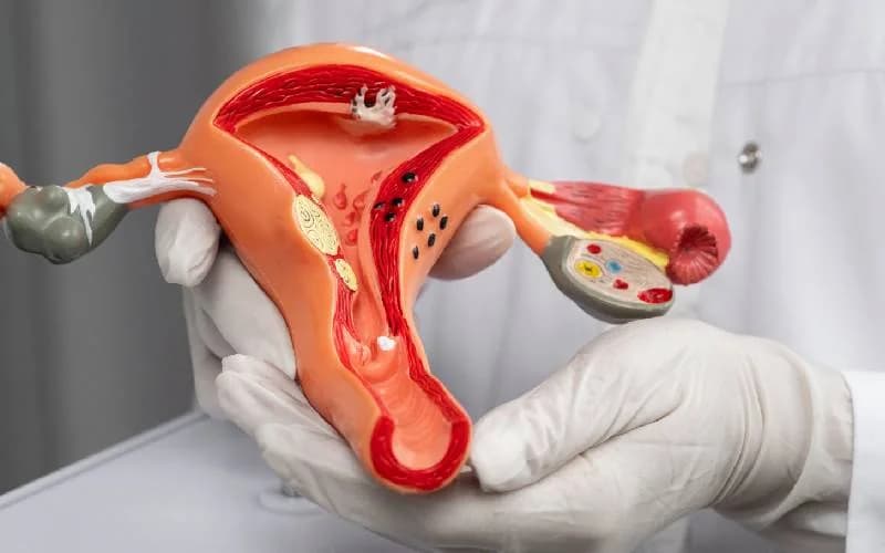 New menopause guidelines offer relief for hot flushes, poor sleep and mood changes